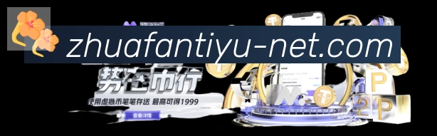 体育数据展示